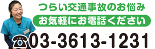 電話番号03-3613-1231